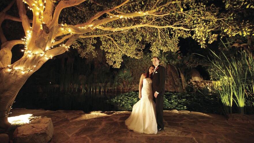 8 Rules for Requesting Songs from Your Wedding Band